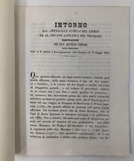 「リンネのモモ属パミラとツンベルクの庭梅についての考察（1847年6月17日講演）」