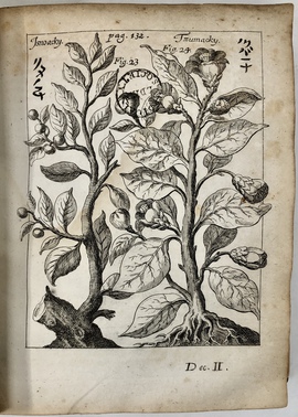 「日本のイスノキ、ツバキについて」ほか 『ゲルマン医理学アカデミー論集 1688年号』所収