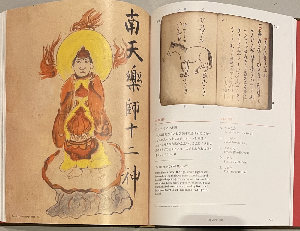 失われた伝統：前近代の日本における馬と馬医術』 - 青羽古書店